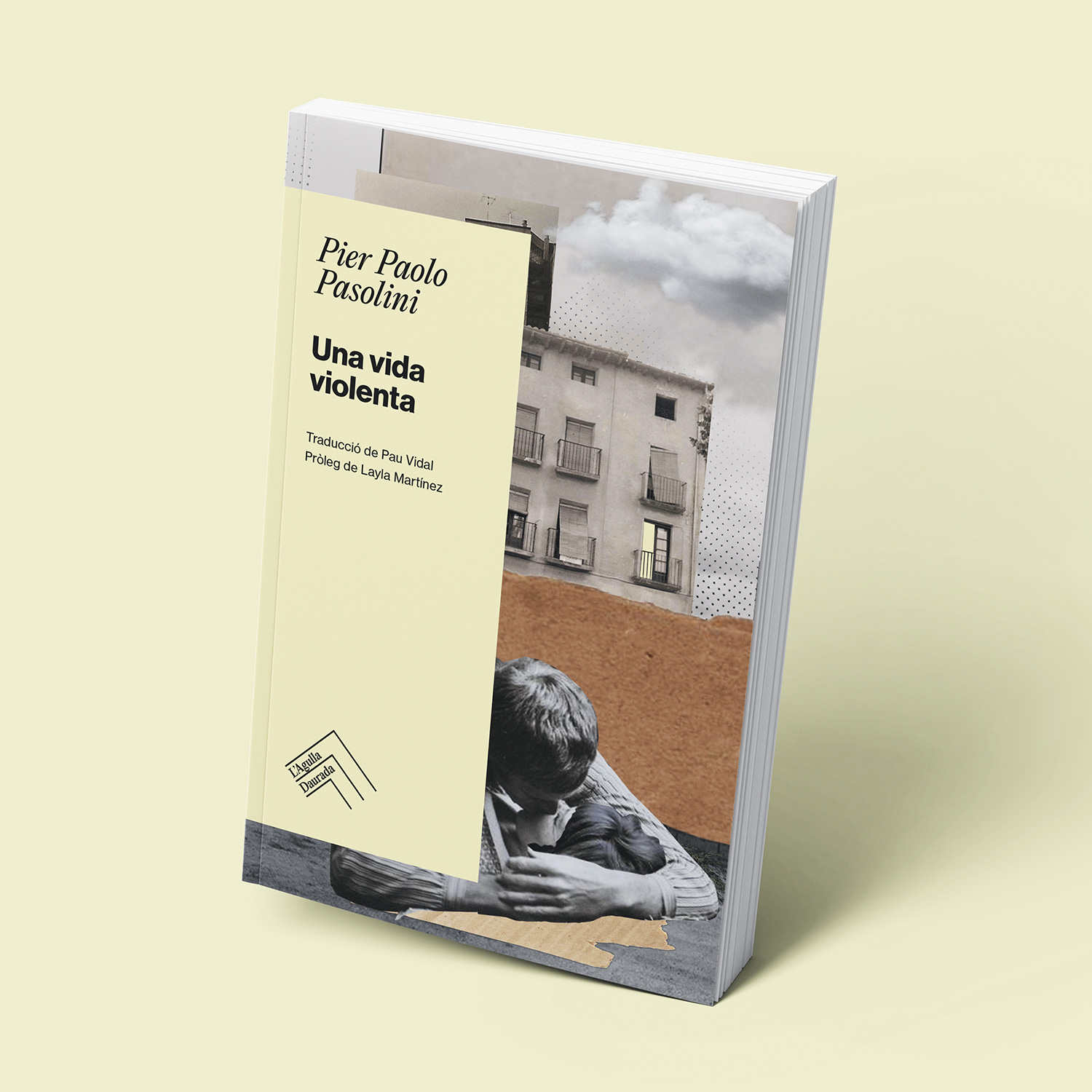 Porta-Disseny-Lagulla-Daurada-Llibres-02