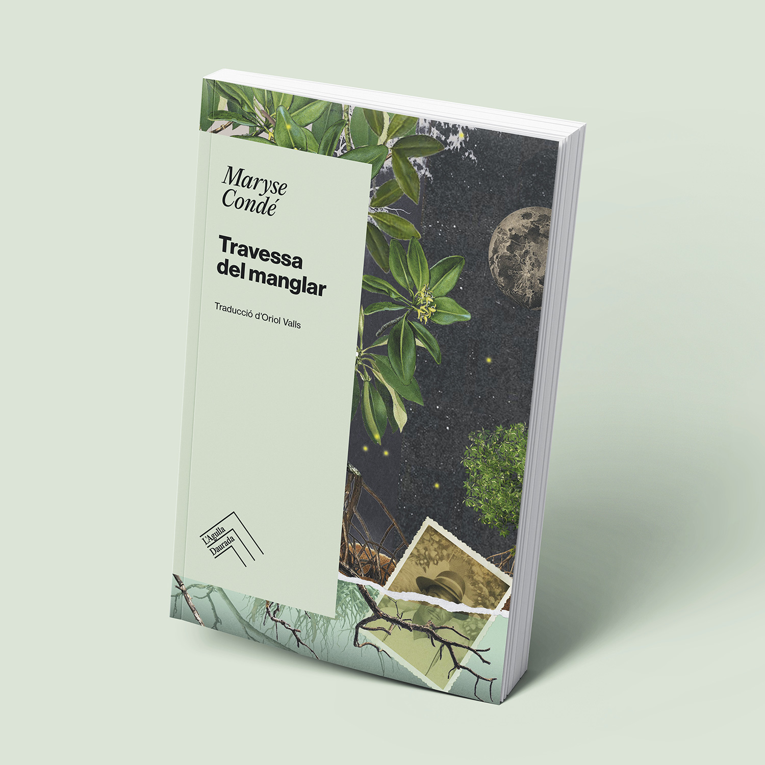 Porta-Disseny-Lagulla-Daurada-Llibres-03