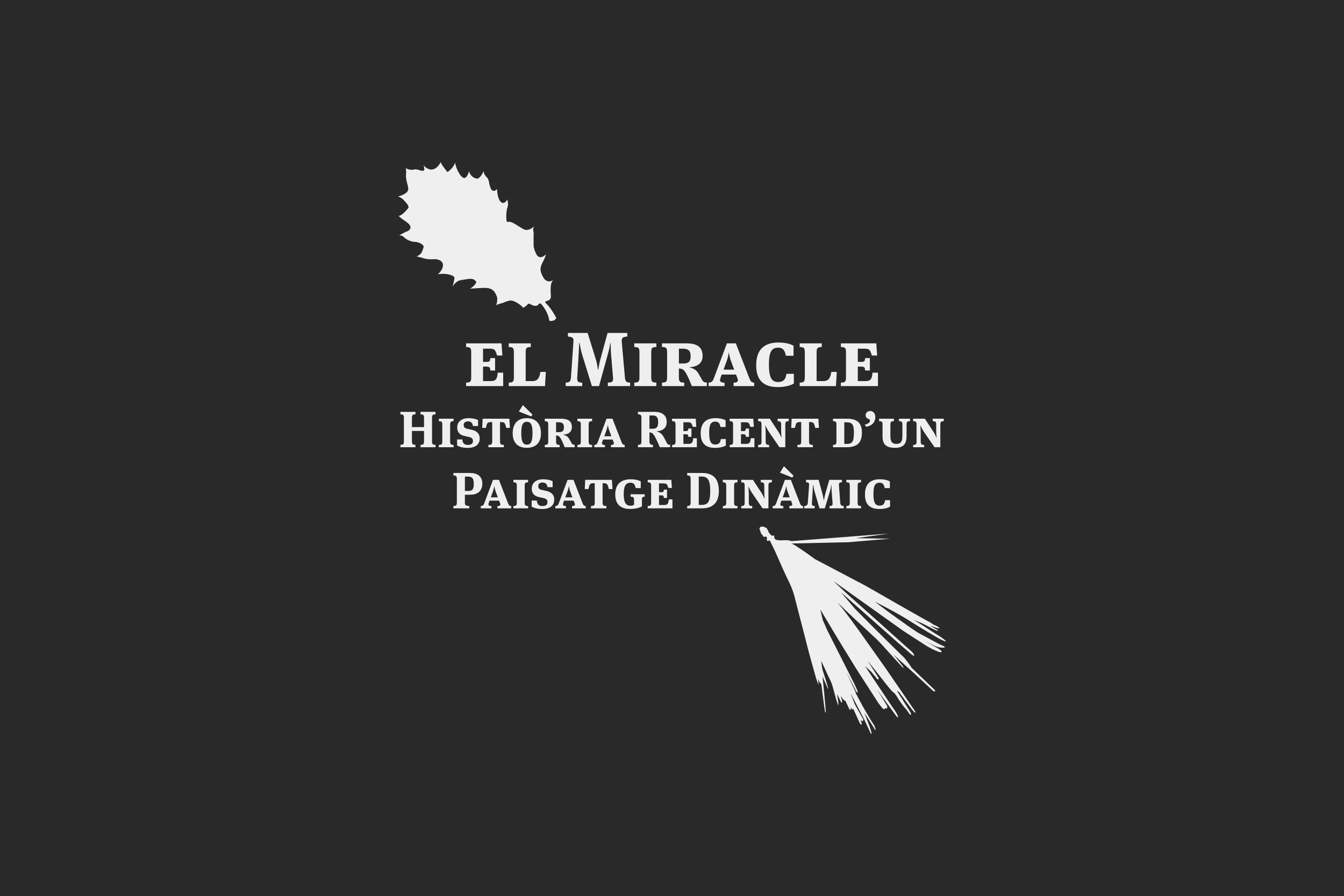 Porta-Disseny-Logos-El-Miracle-Historia-Recent-Dun-Paisatge-Dinamic-01