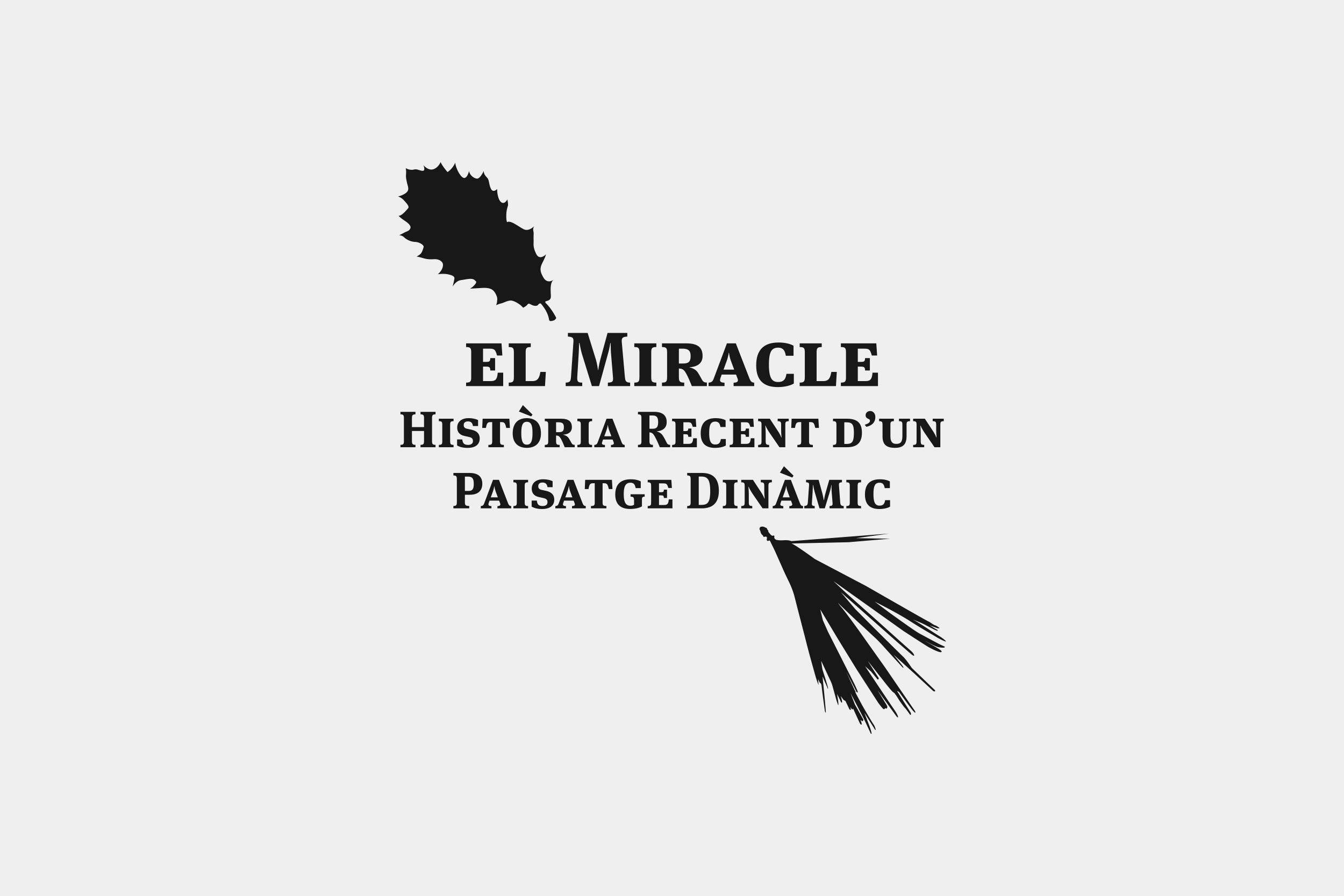 Porta-Disseny-Logos-El-Miracle-Historia-Recent-Dun-Paisatge-Dinamic-02