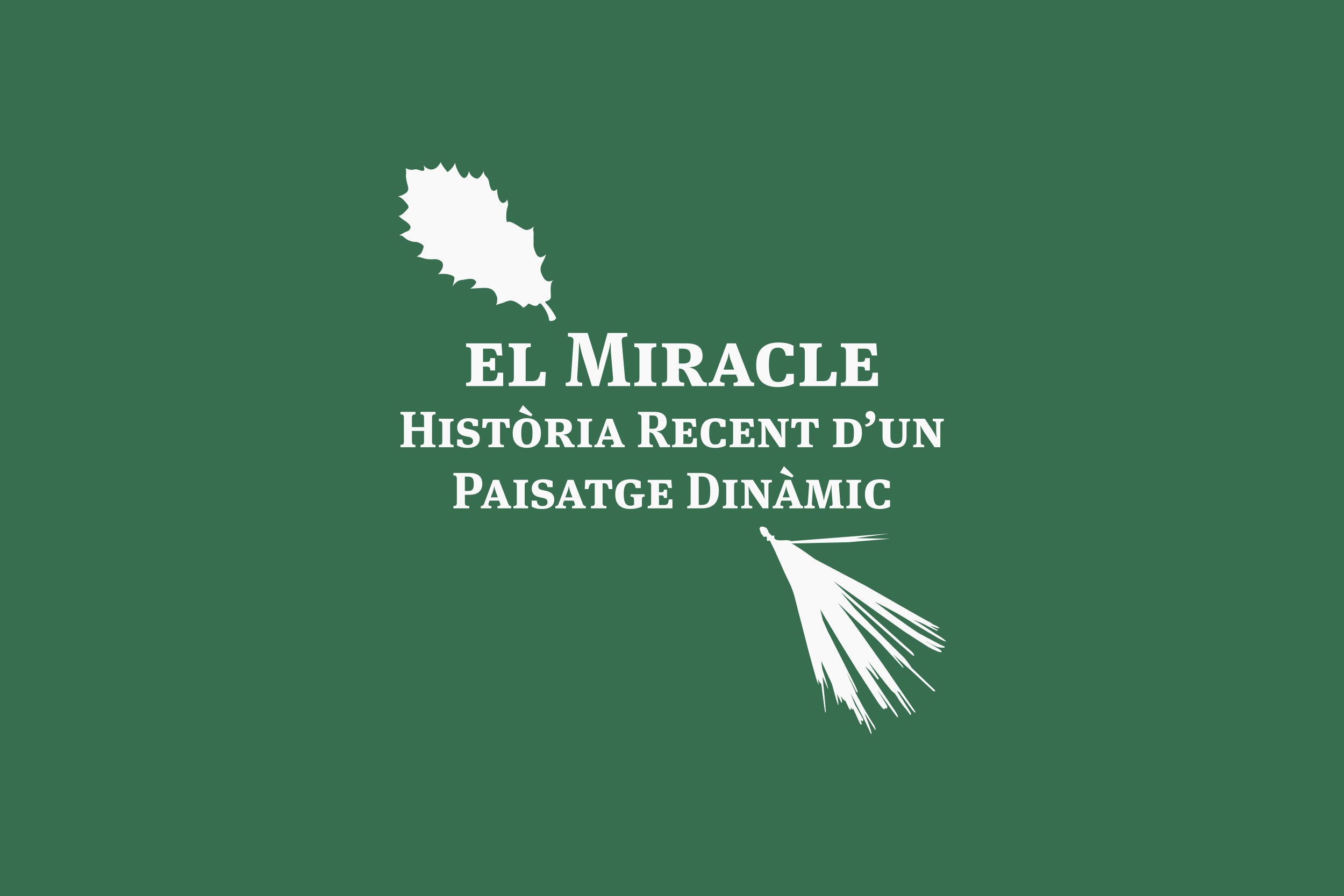 Porta-Disseny-Logos-El-Miracle-Historia-Recent-Dun-Paisatge-Dinamic-03