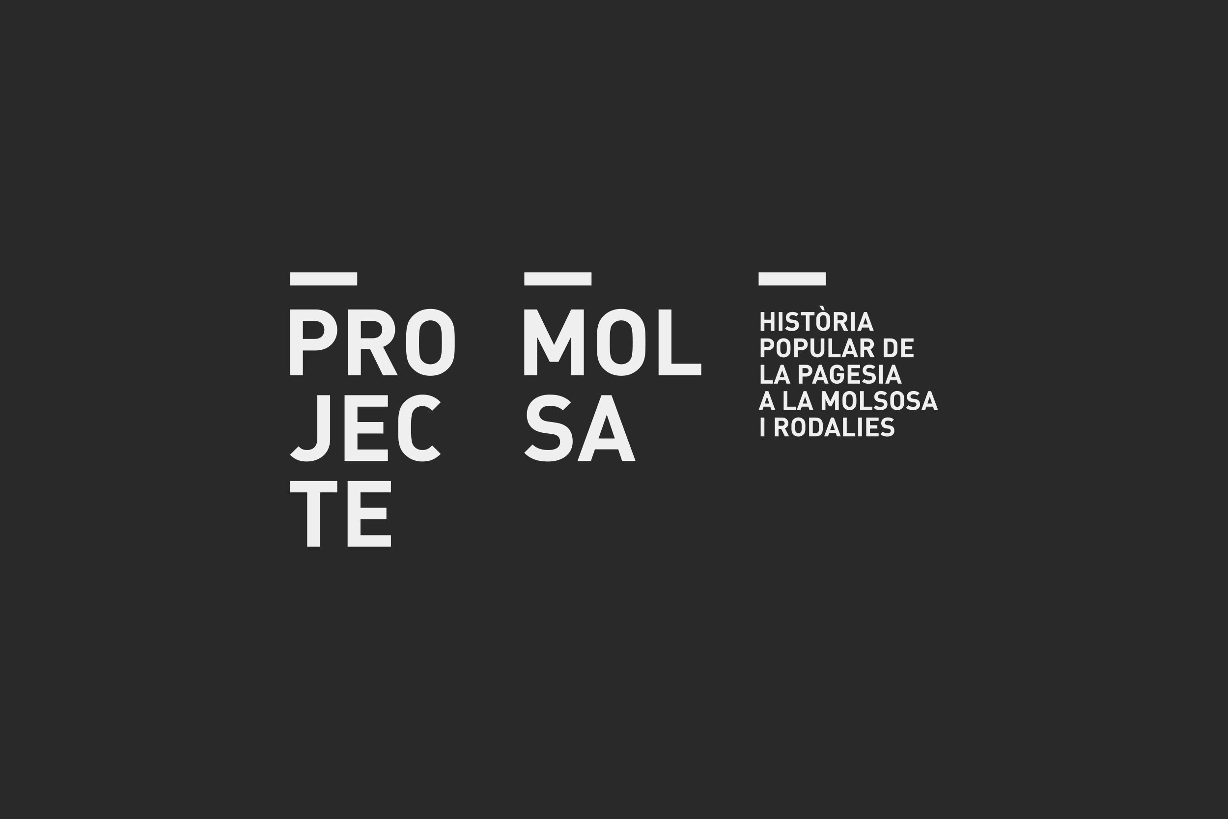 Porta-Disseny-Logos-Projecte-Molsa-01