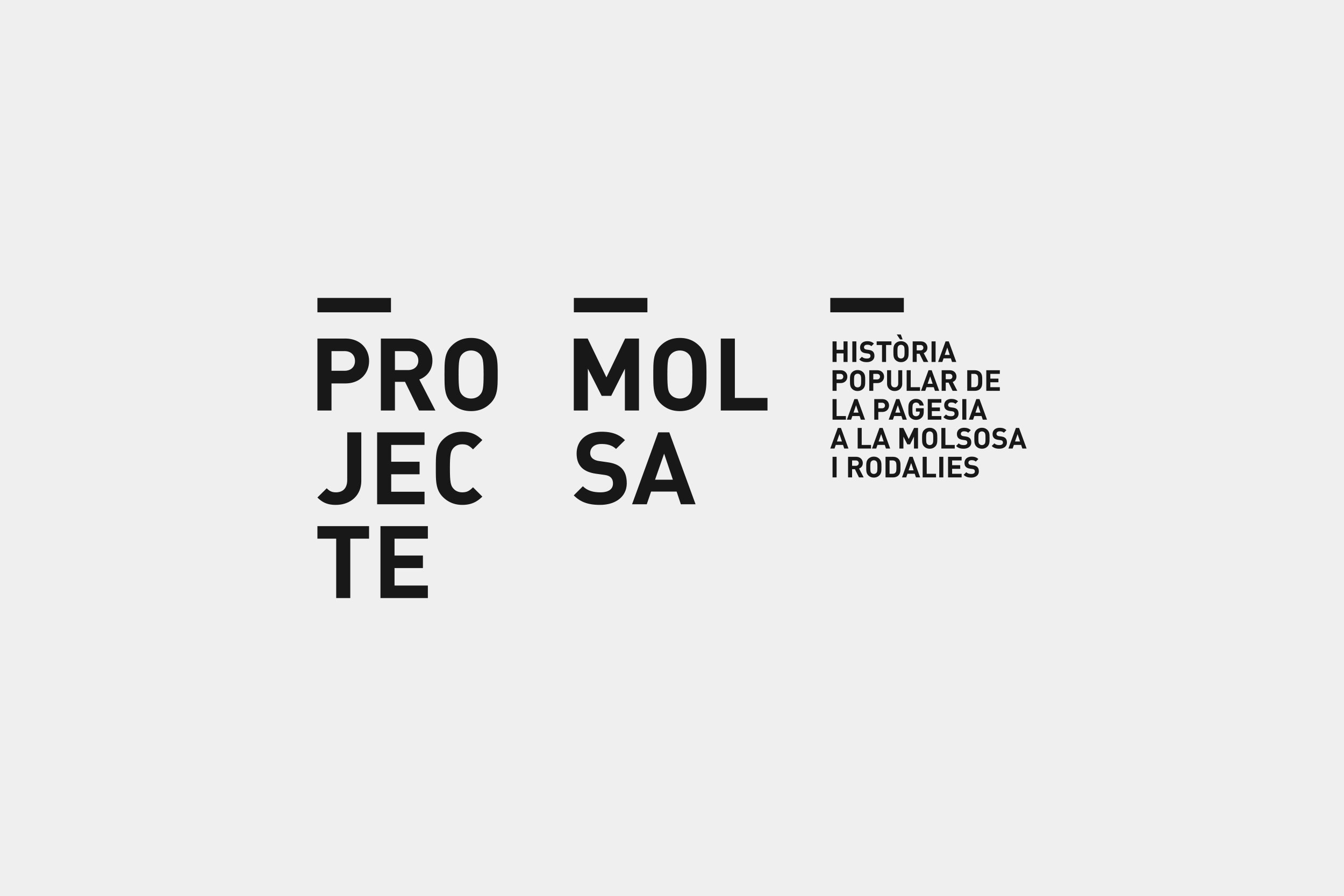 Porta-Disseny-Logos-Projecte-Molsa-02